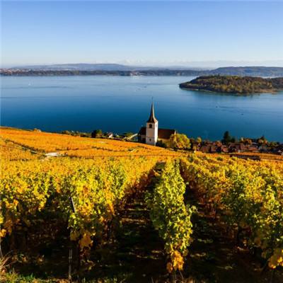 ManBetX登录网页版截图