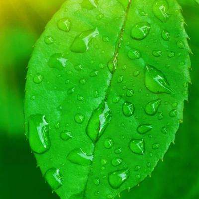 kaiyun电竞入口截图